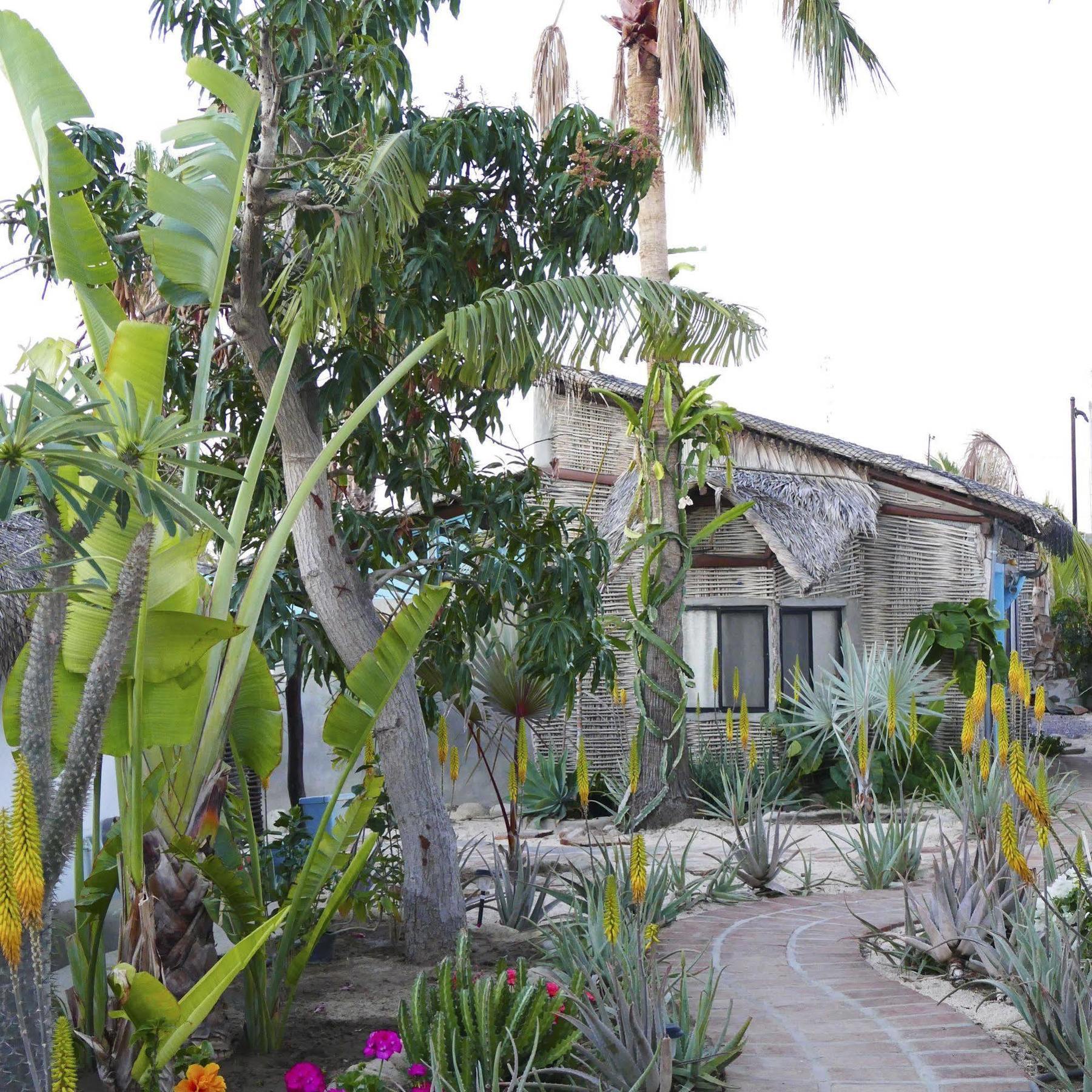 La Bohemia Hotel Todos Santos Exterior photo