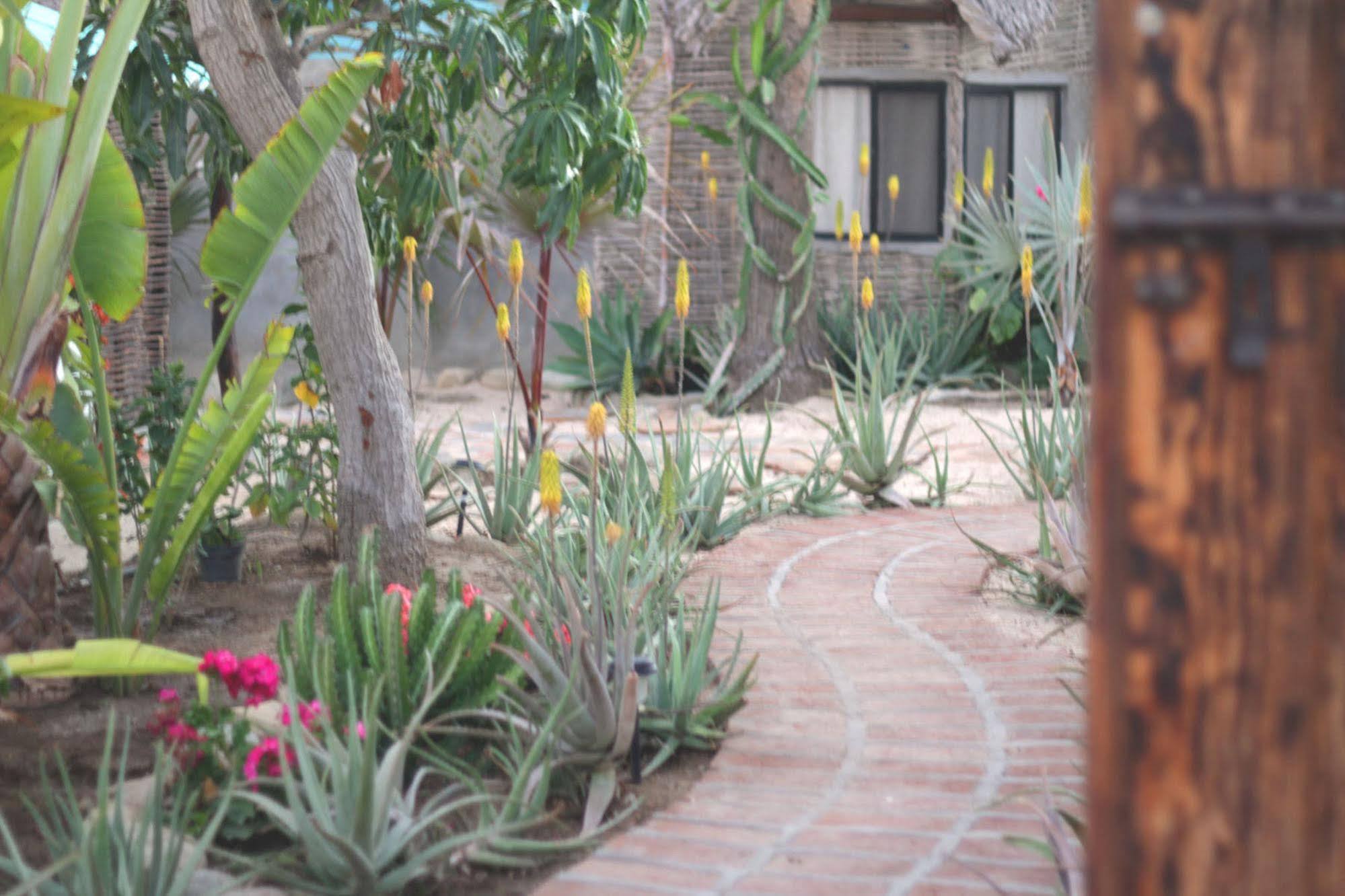 La Bohemia Hotel Todos Santos Exterior photo